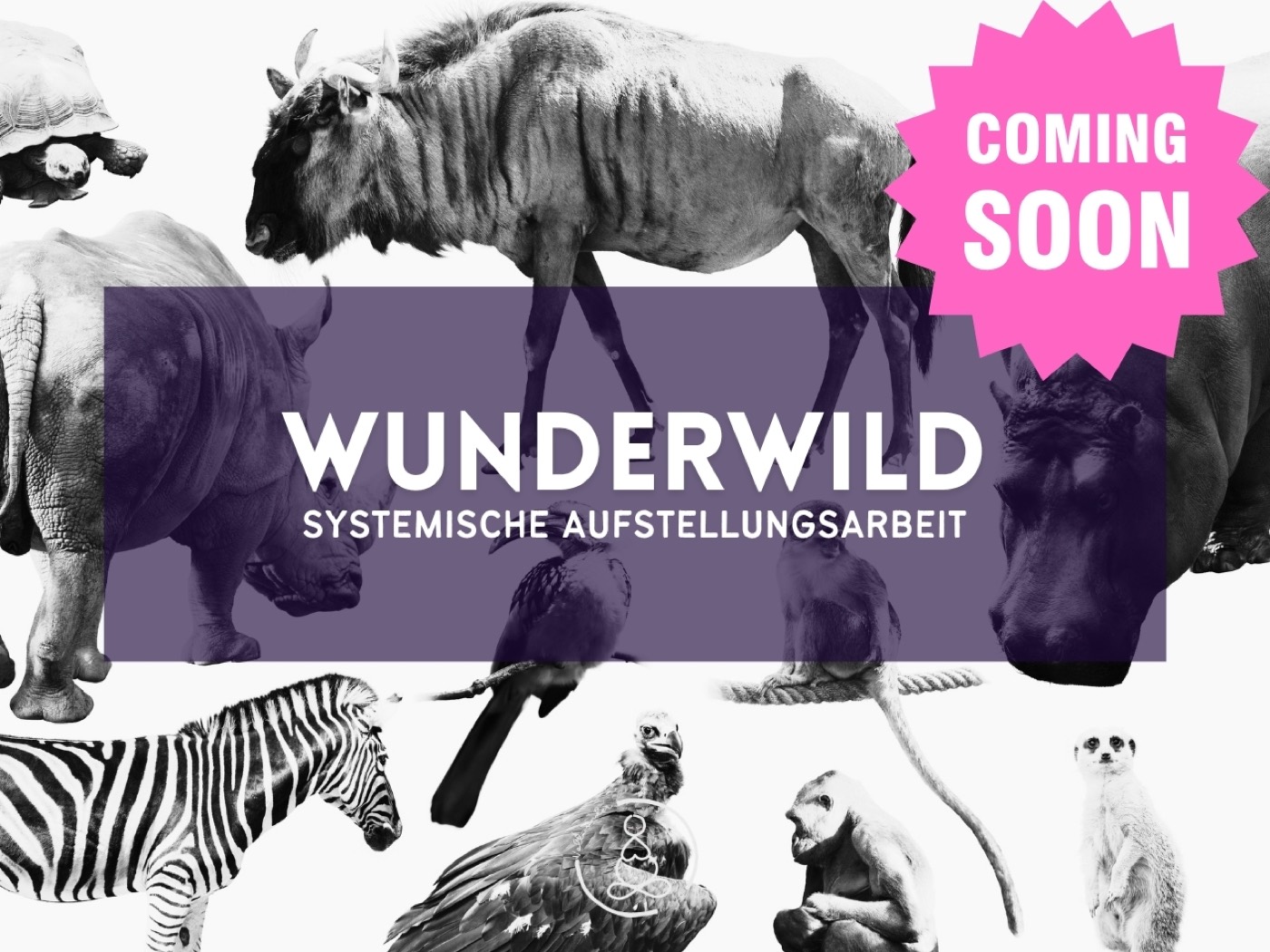 WUNDERWILD — Systemische Aufstellungsarbeit nach Vollwunder